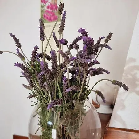 Casa Bianca Bed and breakfast