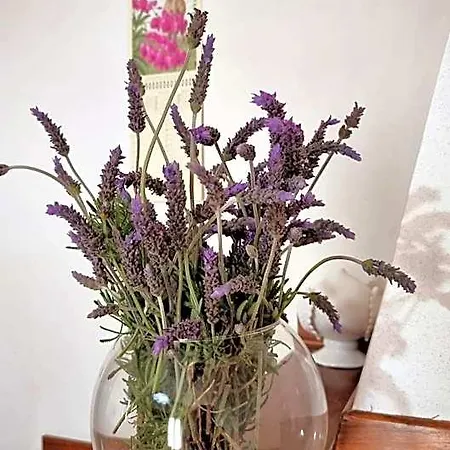 Bed & Breakfast Casa Bianca Ostuni